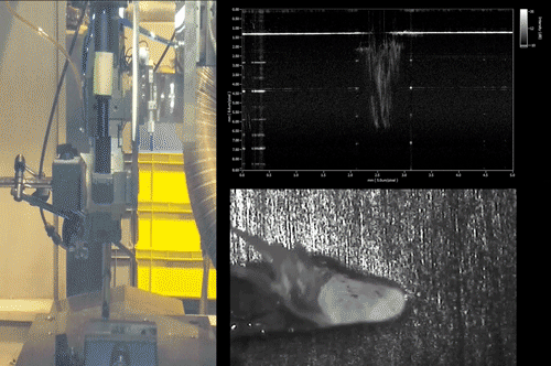 激光焊接熔深監(jiān)控